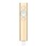 0000106293 SPOTLIGHT PRESENTATION REMOTE GOLD