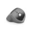 0000126800 MOUSE PRO FIT ERGO WIRELESS VERTICALE