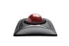 0000128077 EXPERTMOUSE TRACKBALL OTTICA WIREL