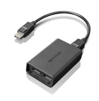 Monitor - Accessori Monitor 0000079427 LENOVO DISPLAYPORT TO DUAL DISPLAYPORT CABLE